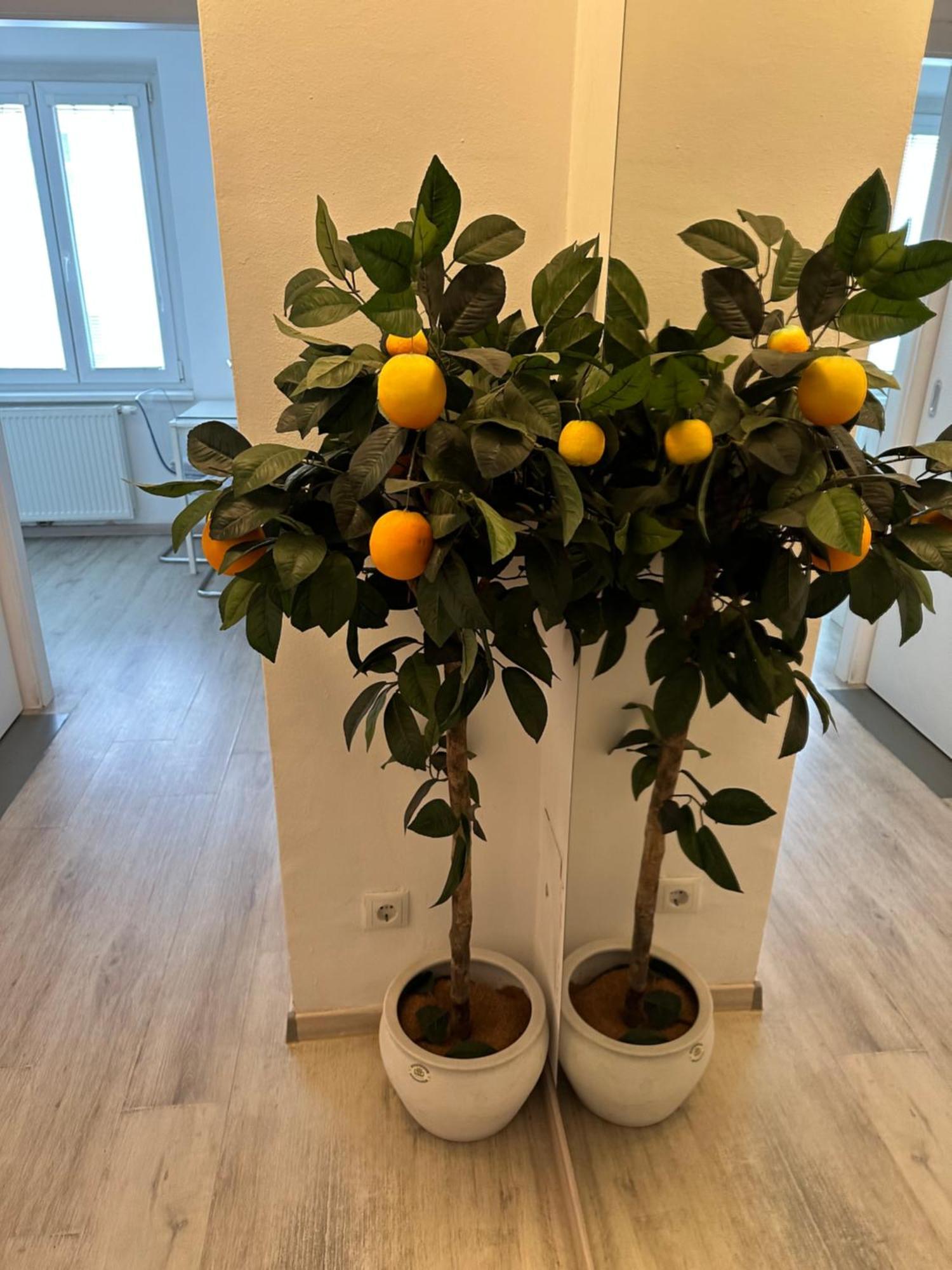 Apartment Opera Vienna Luaran gambar