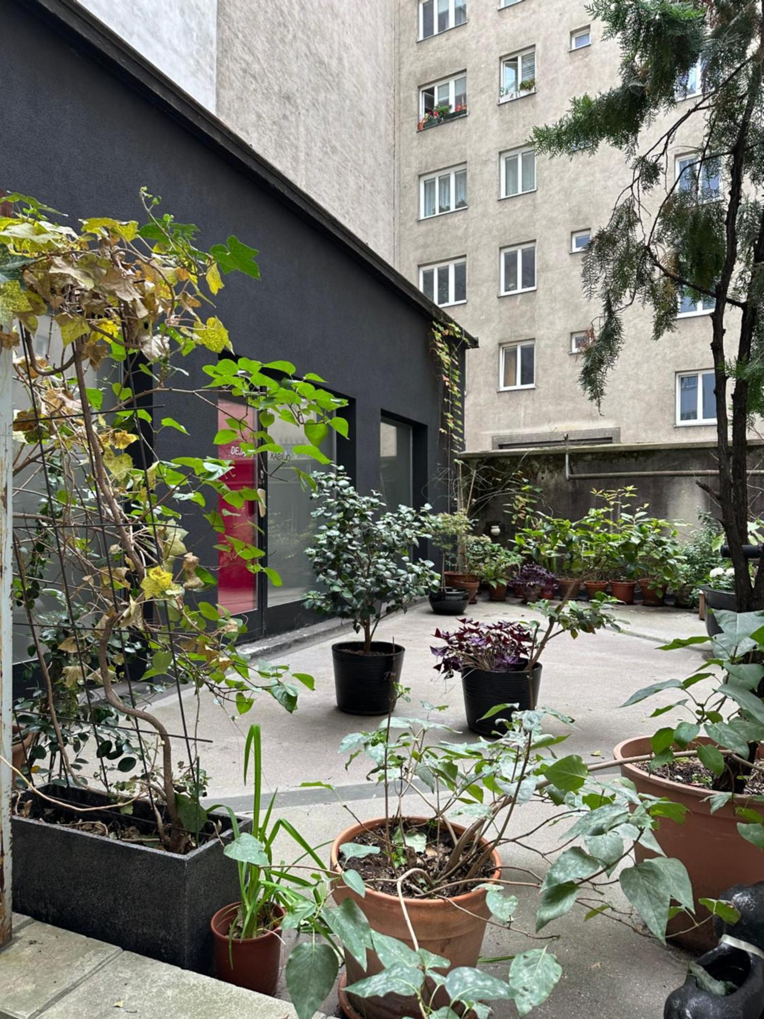Apartment Opera Vienna Luaran gambar
